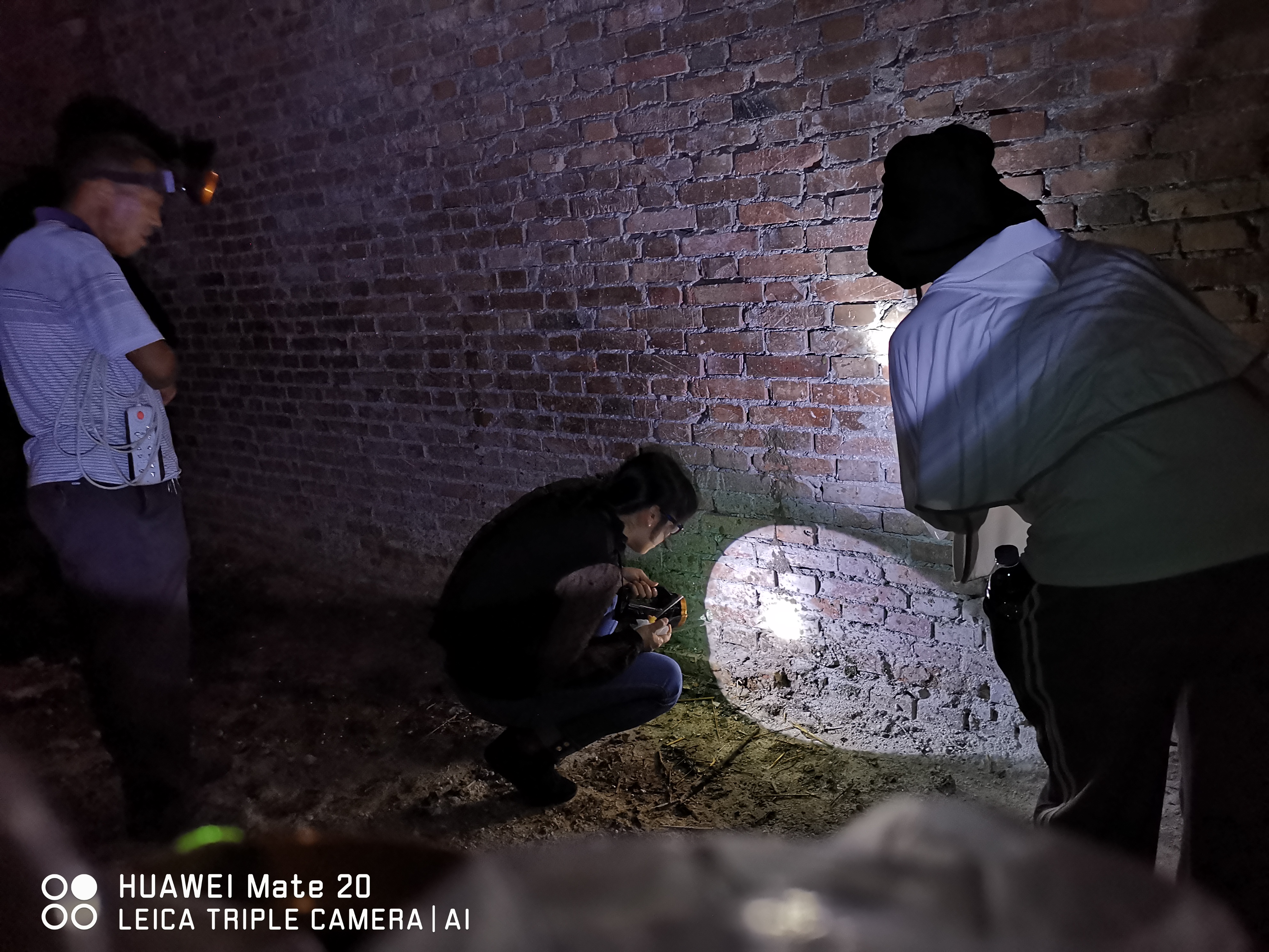 河南兩歲孩子被叮咬患病！省疾控中心專家：警惕黑熱病卷土重來