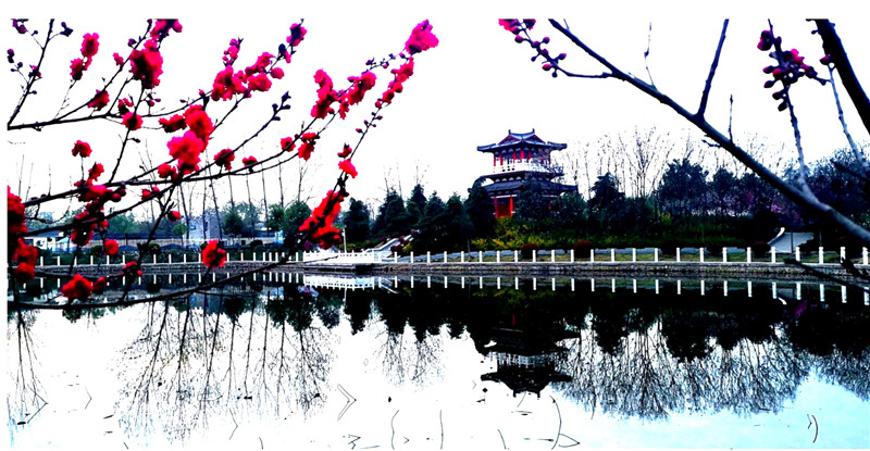 攝影：王線，拍攝于置地公園