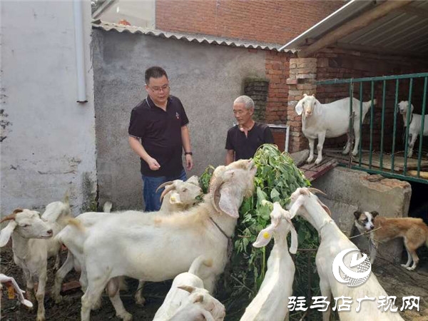 脫貧攻堅鄉(xiāng)村振興相銜接 實(shí)現(xiàn)高質(zhì)量跨越發(fā)展