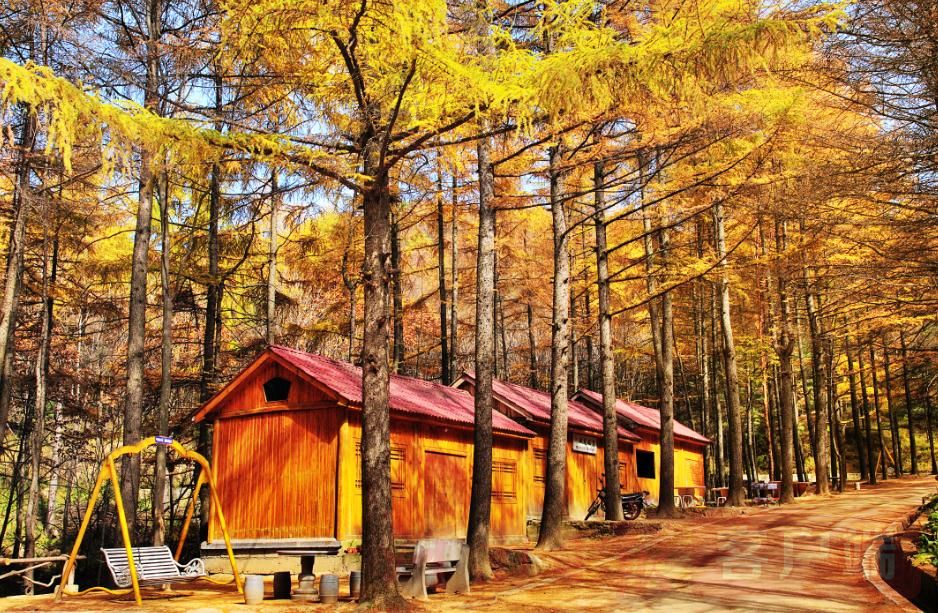 貼近大自然！三年內(nèi)河南將建145個森林康養(yǎng)基地