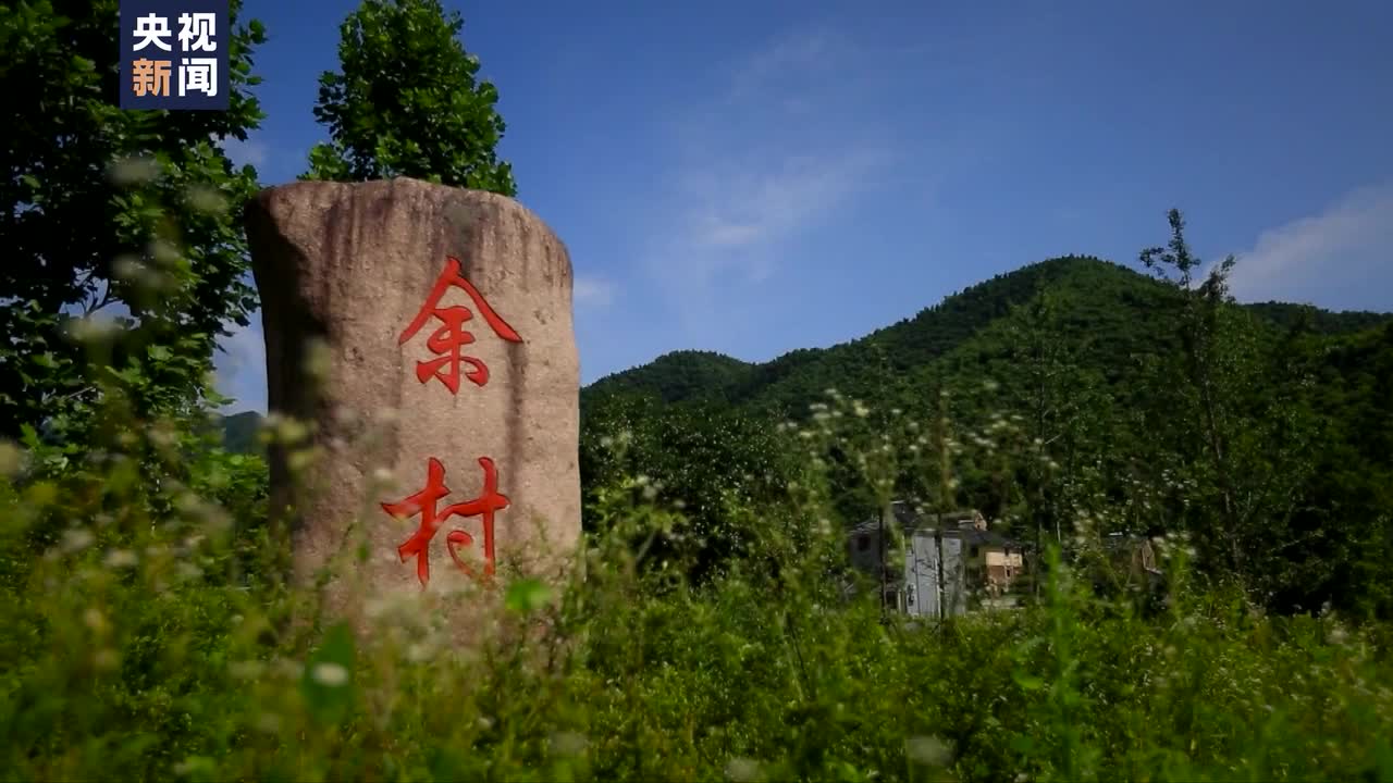 時(shí)政微視頻丨人不負(fù)青山