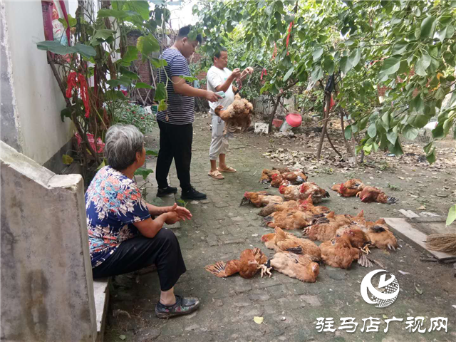 平輿縣玉皇廟鄉(xiāng)：消費扶貧月、群眾喜慶季