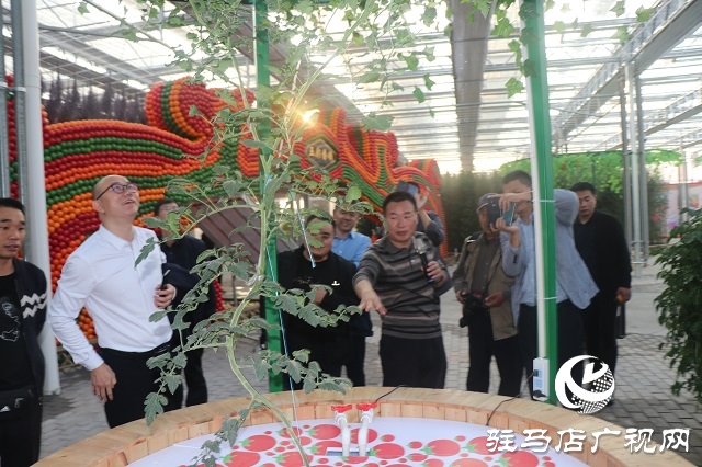 “豐收杯”秋韻天中2020全國(guó)攝影大賽啟動(dòng)