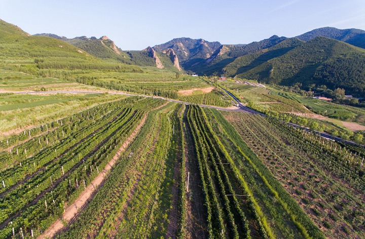 黨的十八大以來(lái)習(xí)近平總書(shū)記考察調(diào)研過(guò)的貧困村脫貧調(diào)查