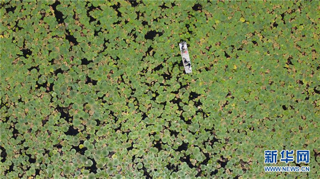 長淮新“斗水”記——寫在新中國治淮70年之時