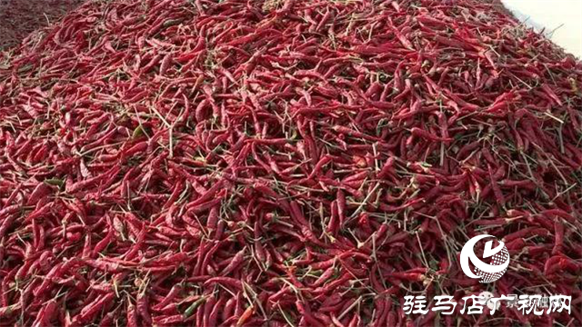 攜手北沃 見證豐收 ——北沃高鈣肥再顯神威，表現(xiàn)驚艷眾人！