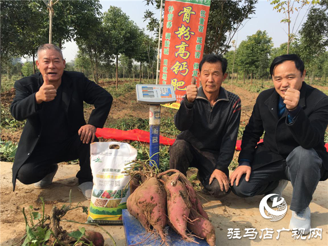 攜手北沃 見證豐收 ——北沃高鈣肥再顯神威，表現(xiàn)驚艷眾人！