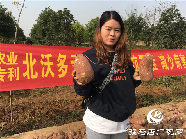 攜手北沃 見證豐收 ——北沃高鈣肥再顯神威，表現(xiàn)驚艷眾人！