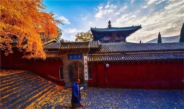 “古剎秋景惹人醉，金色滿(mǎn)園迎賓朋”——嵩山少林寺千年銀杏已到了一年之中最美時(shí)節(jié)！