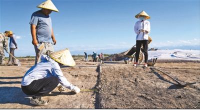 遺址格局逐步清晰，歷史文化內(nèi)涵日益豐富  北庭故城考古發(fā)現(xiàn)不斷深入