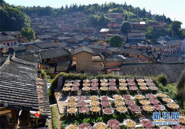 福建尤溪：詩(shī)意桂峰 曬秋人家