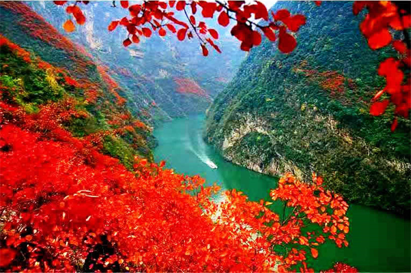 正是老家好時(shí)節(jié)，醉美河南惹人來