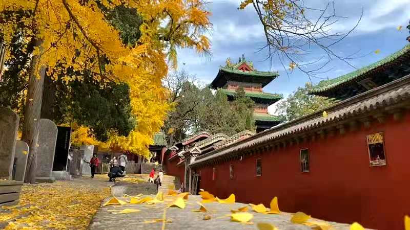 正是老家好時(shí)節(jié)，醉美河南惹人來