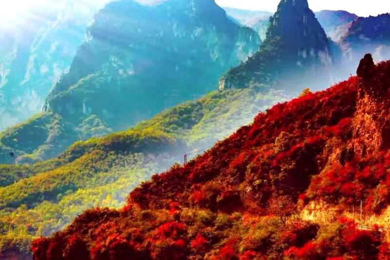 正是老家好時(shí)節(jié)，醉美河南惹人來