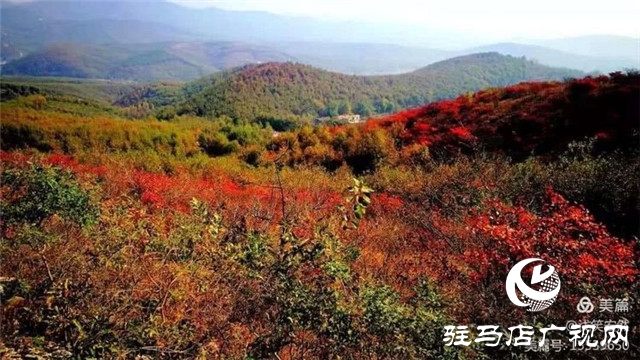 美哭了！那個(gè)被河南艾森集團(tuán)喚醒的黃石頭莊邀你回歸心靈的寧?kù)o