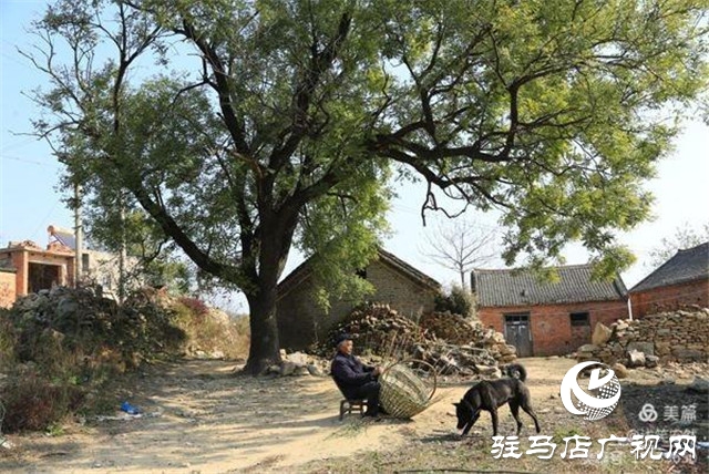 美哭了！那個(gè)被河南艾森集團(tuán)喚醒的黃石頭莊邀你回歸心靈的寧?kù)o