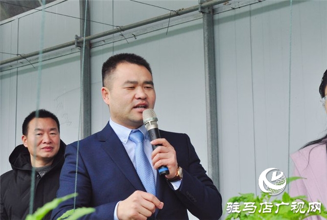 駐馬店市西紅柿產(chǎn)業(yè)發(fā)展現(xiàn)場觀摩會在汝南縣番順西紅柿產(chǎn)業(yè)園順利召開