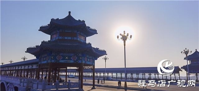 鞭聲陣陣 龍飛陀舞河南駐馬店市驛城區(qū)皇家驛站五市同臺競技展舞姿