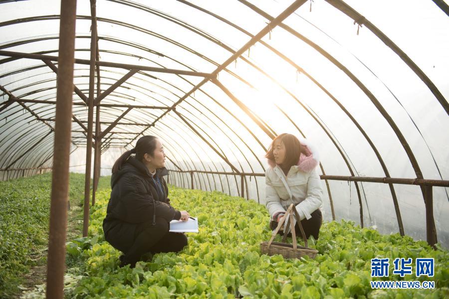 以優(yōu)良作風書寫非凡答卷——2020年以習近平同志為核心的黨中央推進作風建設(shè)紀實