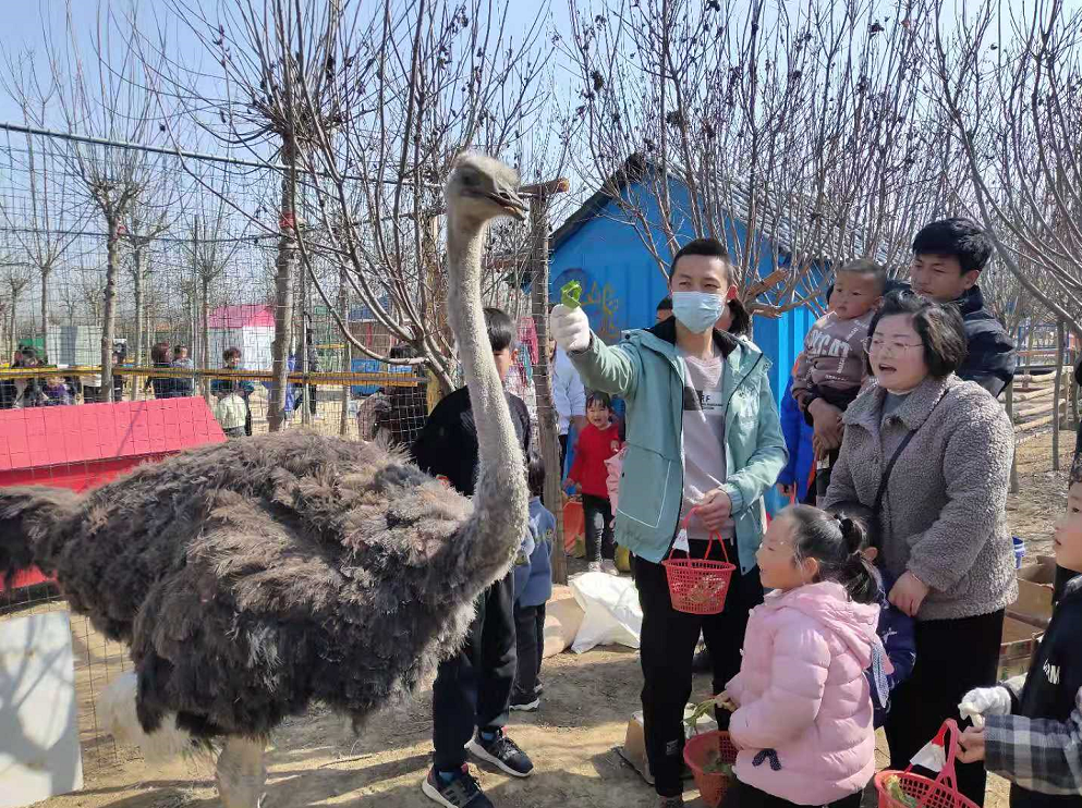 “播種希望·擁抱未來”植樹節(jié)戶外體驗活動開始啦！