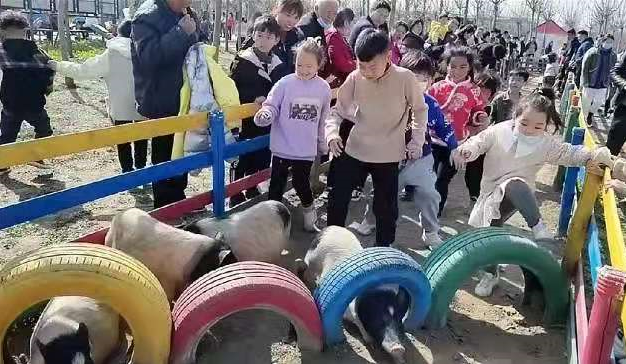 “播種希望·擁抱未來”植樹節(jié)戶外體驗活動開始啦！