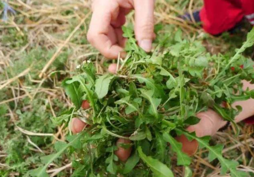 “播種希望·擁抱未來”植樹節(jié)戶外體驗活動開始啦！