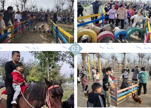 “播種希望·擁抱未來”植樹節(jié)戶外體驗活動開始啦！