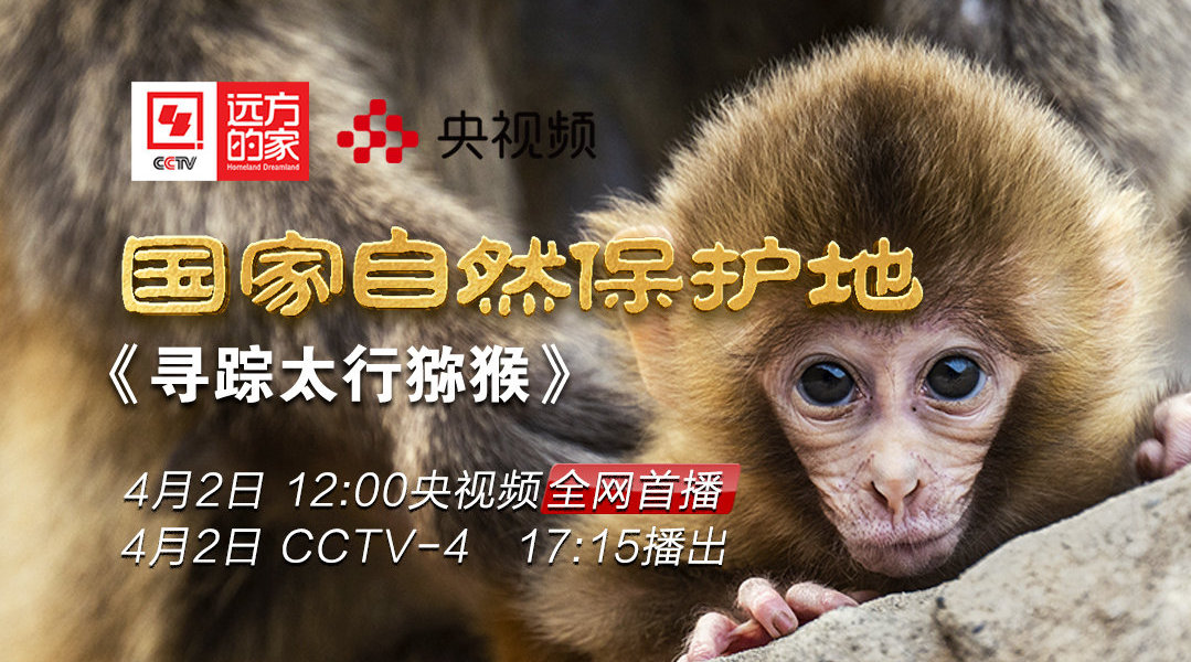 今天17:15分鎖定CCTV4！濟(jì)源登上央視《遠(yuǎn)方的家》