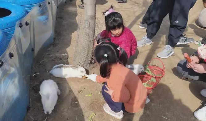 五一假期，世外桃源千人泡沫大狂歡！門票免費(fèi)送，等你來！