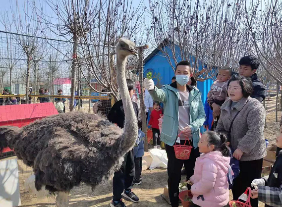 五一假期，世外桃源千人泡沫大狂歡！門票免費(fèi)送，等你來！