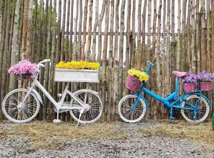 五一假期，世外桃源千人泡沫大狂歡！門票免費(fèi)送，等你來！