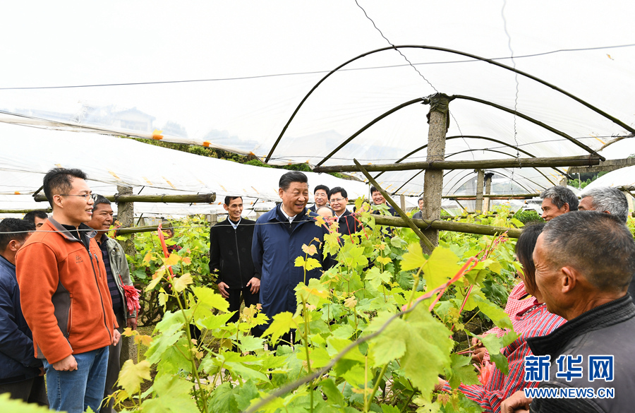 習(xí)近平：建設(shè)新時(shí)代中國(guó)特色社會(huì)主義壯美廣西