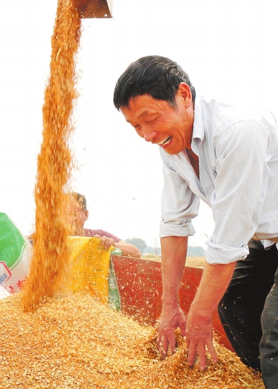 用芯筑牢糧食安全——“看麥?zhǔn)赵?huà)重任”系列觀察之二