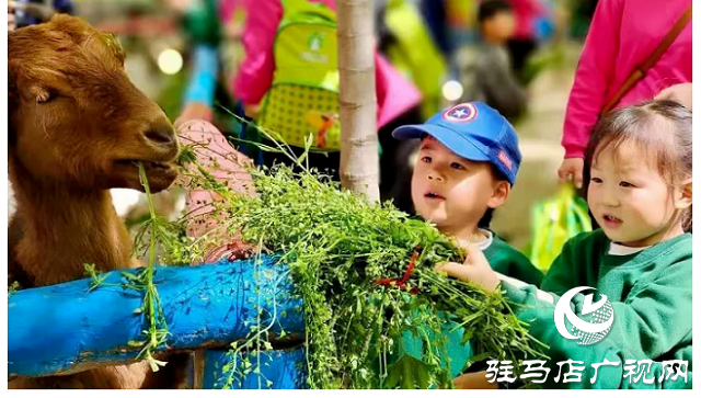 這個(gè)端午世外桃源門票免費(fèi)送！門票還包含水上樂(lè)園！