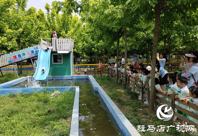 這個(gè)端午世外桃源門票免費(fèi)送！門票還包含水上樂(lè)園！