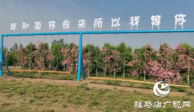 這個(gè)端午世外桃源門票免費(fèi)送！門票還包含水上樂(lè)園！
