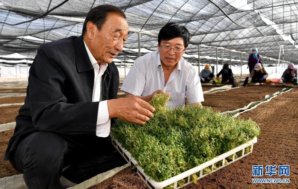 奮斗百年路 啟航新征程·“七一勛章”獲得者｜治沙英雄石光銀：干成治沙一件事，就算沒白活