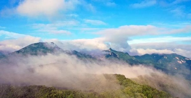 “市”外有桃園，宜陽花果山，遛娃首選點