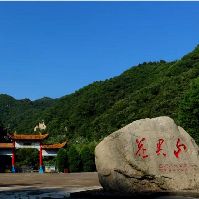 “市”外有桃園，宜陽花果山，遛娃首選點(diǎn)