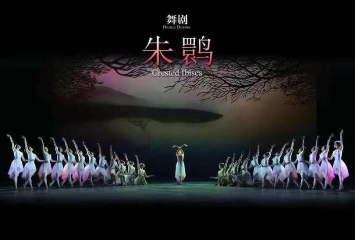 現(xiàn)象級舞劇如何產(chǎn)生？上海歌舞團(tuán)團(tuán)長：對創(chuàng)排是“慎之又慎，精益求精”