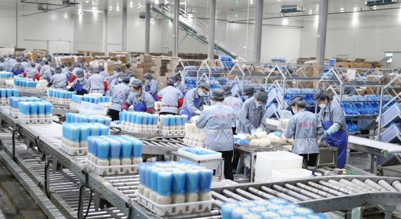 以高質(zhì)量項(xiàng)目建設(shè)撐起現(xiàn)代化駐馬店脊梁