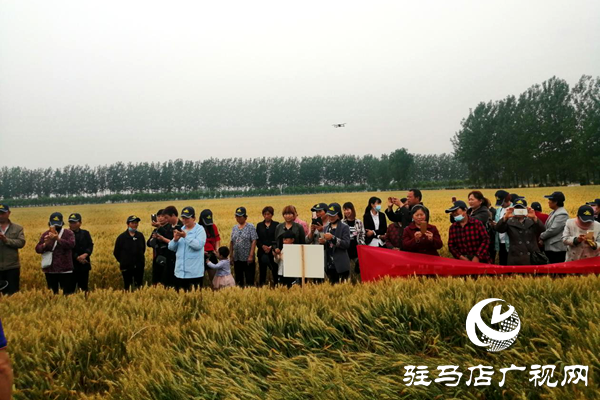 重磅！麥熟寶，驚艷亮相！2020年北沃農業(yè)再出大招！