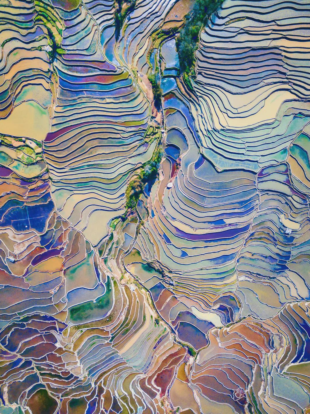 國慶長假，一起看看我們的田