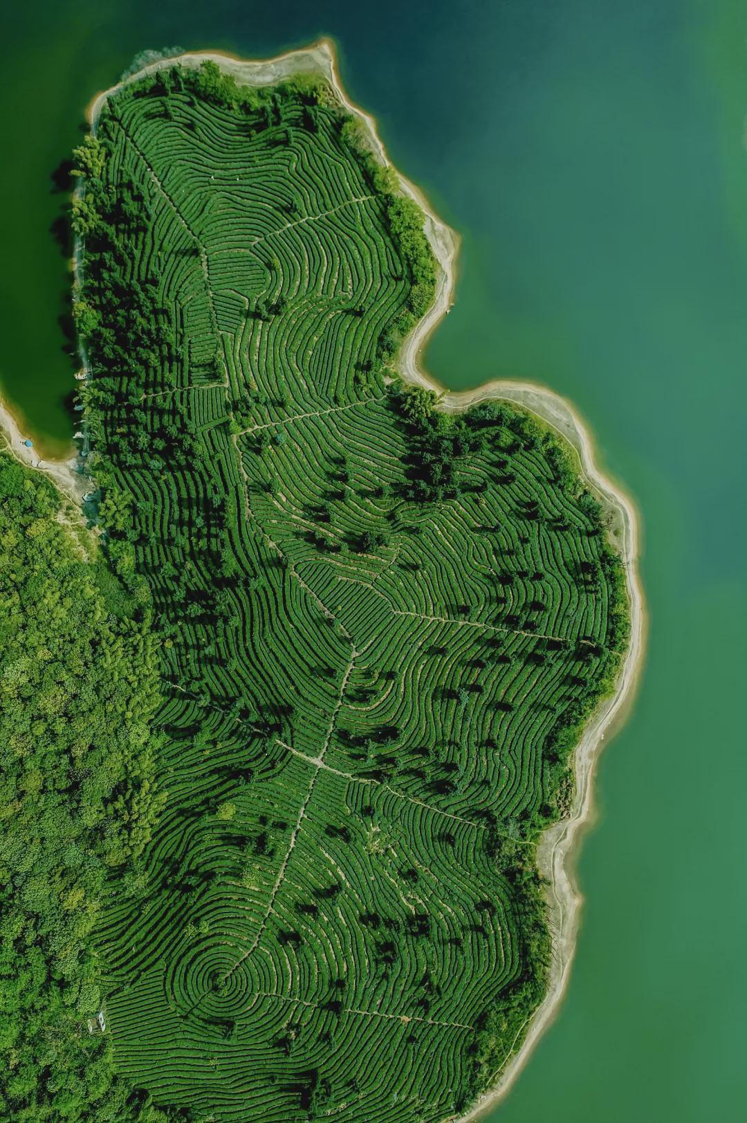 國慶長假，一起看看我們的田