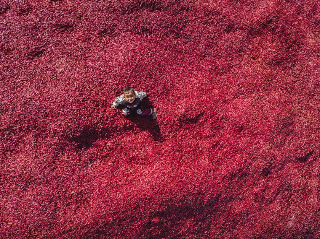 國慶長假，一起看看我們的田