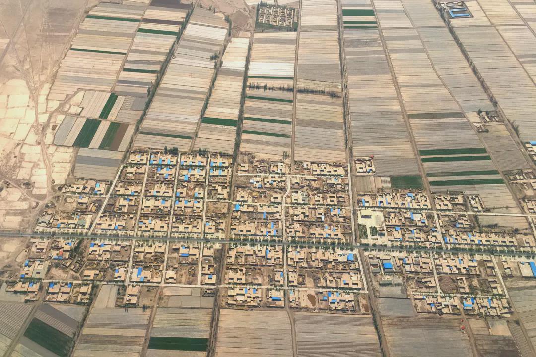 國慶長假，一起看看我們的田