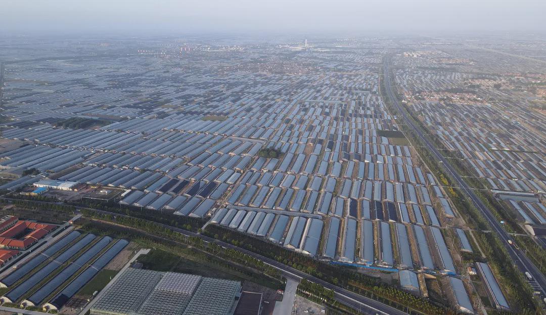 國慶長假，一起看看我們的田