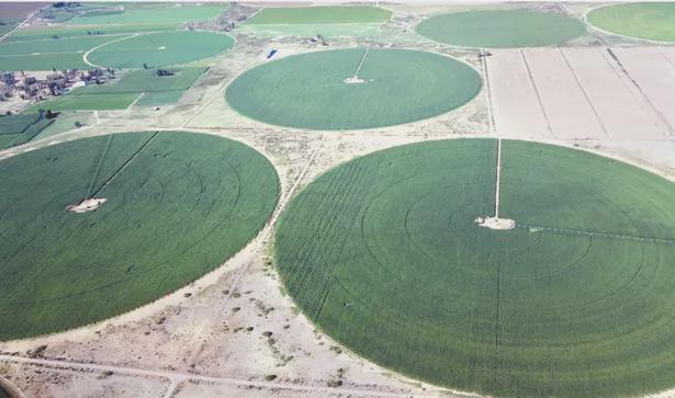 國慶長假，一起看看我們的田