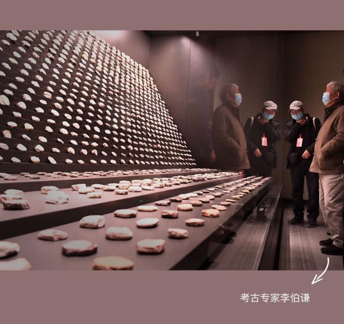 新華全媒+PLOG丨史前先民的“花花”世界，我沉迷了……