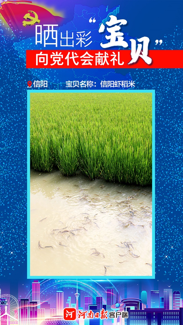 海報(bào) | 曬出彩“寶貝” 向黨代會(huì)獻(xiàn)禮 信陽(yáng)“寶貝”茶、油、稻